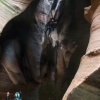 pine-creek-zion-utah-canyoneering-slot-canyon-rain-tracy-lee-171