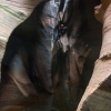 pine-creek-zion-utah-canyoneering-slot-canyon-rain-tracy-lee-172