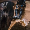pine-creek-zion-utah-canyoneering-slot-canyon-rain-tracy-lee-178