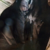 pine-creek-zion-utah-canyoneering-slot-canyon-rain-tracy-lee-180