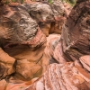 pine-creek-zion-utah-canyoneering-slot-canyon-rain-tracy-lee-199