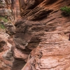 pine-creek-zion-utah-canyoneering-slot-canyon-rain-tracy-lee-204