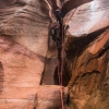 pine-creek-zion-utah-canyoneering-slot-canyon-rain-tracy-lee-209