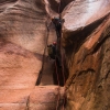 pine-creek-zion-utah-canyoneering-slot-canyon-rain-tracy-lee-210
