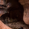 pine-creek-zion-utah-canyoneering-slot-canyon-rain-tracy-lee-223
