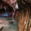pine-creek-zion-utah-canyoneering-slot-canyon-rain-tracy-lee-251