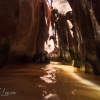 neon-fence-canyon-golden-cathedral-escalante-canyoneering-rappelling-tracy-lee-168