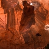 neon-fence-canyon-golden-cathedral-escalante-canyoneering-rappelling-tracy-lee-210