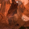 neon-fence-canyon-golden-cathedral-escalante-canyoneering-rappelling-tracy-lee-211
