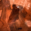 neon-fence-canyon-golden-cathedral-escalante-canyoneering-rappelling-tracy-lee-216