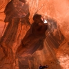 neon-fence-canyon-golden-cathedral-escalante-canyoneering-rappelling-tracy-lee-223