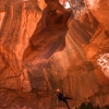 neon-fence-canyon-golden-cathedral-escalante-canyoneering-rappelling-tracy-lee-229