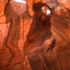 neon-fence-canyon-golden-cathedral-escalante-canyoneering-rappelling-tracy-lee-235