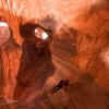 neon-fence-canyon-golden-cathedral-escalante-canyoneering-rappelling-tracy-lee-236