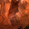 neon-fence-canyon-golden-cathedral-escalante-canyoneering-rappelling-tracy-lee-237