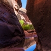 neon-fence-canyon-golden-cathedral-escalante-canyoneering-rappelling-tracy-lee-240
