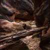 pine-creek-zion-utah-canyoneering-slot-canyon-rain-tracy-lee-193