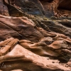 pine-creek-zion-utah-canyoneering-slot-canyon-rain-tracy-lee-194