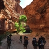 milky-way-mooney-falls-havasu-havasupai-beaver-bucket-list-tracy-lee-191