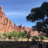milky-way-mooney-falls-havasu-havasupai-beaver-bucket-list-tracy-lee-193