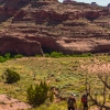neon-fence-canyon-golden-cathedral-escalante-canyoneering-rappelling-tracy-lee-107