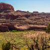 neon-fence-canyon-golden-cathedral-escalante-canyoneering-rappelling-tracy-lee-108