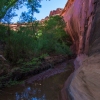 neon-fence-canyon-golden-cathedral-escalante-canyoneering-rappelling-tracy-lee-121
