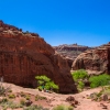 neon-fence-canyon-golden-cathedral-escalante-canyoneering-rappelling-tracy-lee-123