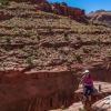 neon-fence-canyon-golden-cathedral-escalante-canyoneering-rappelling-tracy-lee-129