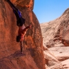 neon-fence-canyon-golden-cathedral-escalante-canyoneering-rappelling-tracy-lee-147