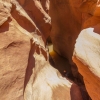 neon-fence-canyon-golden-cathedral-escalante-canyoneering-rappelling-tracy-lee-151