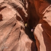 neon-fence-canyon-golden-cathedral-escalante-canyoneering-rappelling-tracy-lee-154
