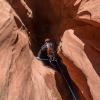 neon-fence-canyon-golden-cathedral-escalante-canyoneering-rappelling-tracy-lee-155