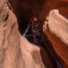neon-fence-canyon-golden-cathedral-escalante-canyoneering-rappelling-tracy-lee-156