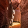 neon-fence-canyon-golden-cathedral-escalante-canyoneering-rappelling-tracy-lee-161