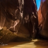 neon-fence-canyon-golden-cathedral-escalante-canyoneering-rappelling-tracy-lee-167