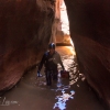 neon-fence-canyon-golden-cathedral-escalante-canyoneering-rappelling-tracy-lee-169