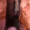 neon-fence-canyon-golden-cathedral-escalante-canyoneering-rappelling-tracy-lee-179