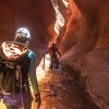 neon-fence-canyon-golden-cathedral-escalante-canyoneering-rappelling-tracy-lee-183