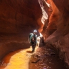neon-fence-canyon-golden-cathedral-escalante-canyoneering-rappelling-tracy-lee-184
