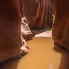 neon-fence-canyon-golden-cathedral-escalante-canyoneering-rappelling-tracy-lee-187