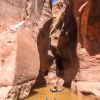 neon-fence-canyon-golden-cathedral-escalante-canyoneering-rappelling-tracy-lee-191