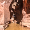 neon-fence-canyon-golden-cathedral-escalante-canyoneering-rappelling-tracy-lee-192