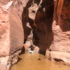 neon-fence-canyon-golden-cathedral-escalante-canyoneering-rappelling-tracy-lee-195
