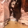 neon-fence-canyon-golden-cathedral-escalante-canyoneering-rappelling-tracy-lee-196