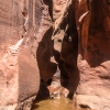 neon-fence-canyon-golden-cathedral-escalante-canyoneering-rappelling-tracy-lee-197