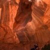 neon-fence-canyon-golden-cathedral-escalante-canyoneering-rappelling-tracy-lee-237
