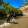 neon-fence-canyon-golden-cathedral-escalante-canyoneering-rappelling-tracy-lee-245