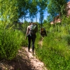 neon-fence-canyon-golden-cathedral-escalante-canyoneering-rappelling-tracy-lee-246