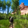 neon-fence-canyon-golden-cathedral-escalante-canyoneering-rappelling-tracy-lee-247